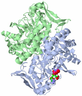 Image Asym./Biol. Unit