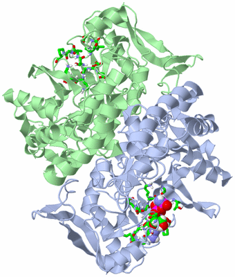 Image Asym./Biol. Unit - sites