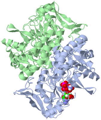 Image Asym./Biol. Unit