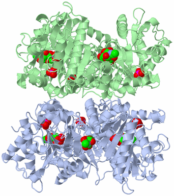 Image Biological Unit 1