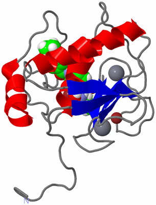 Image NMR Structure - model 1