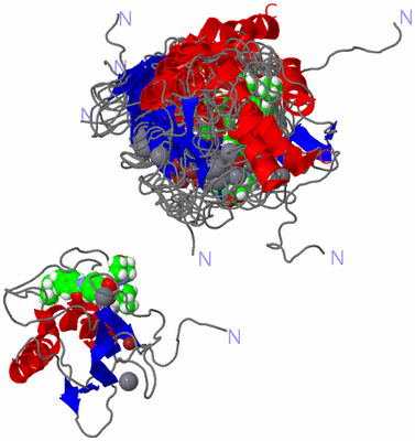 Image NMR Structure - all models