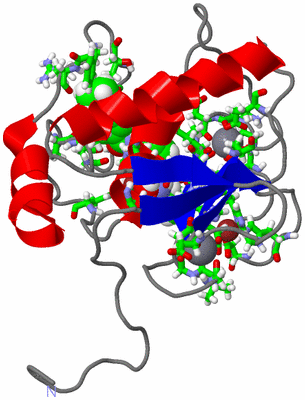 Image NMR Structure - model 1, sites