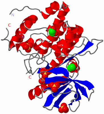 Image Asym./Biol. Unit