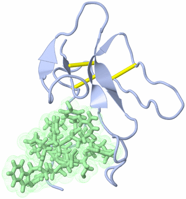 Image NMR Structure - model 1