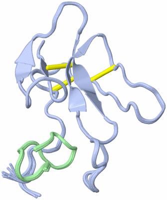 Image NMR Structure - all models