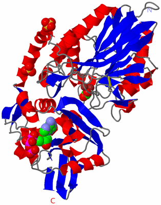 Image Asym./Biol. Unit