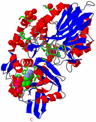 Image Asym./Biol. Unit - sites