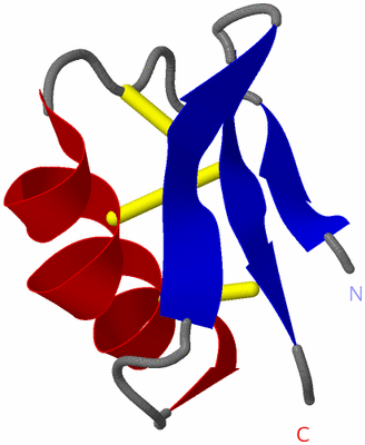 Image NMR Structure - model 1