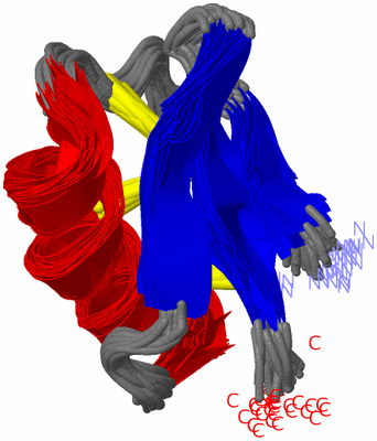 Image NMR Structure - all models