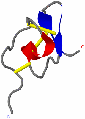 Image NMR Structure - model 1