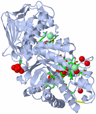 Image Biol. Unit 1 - sites