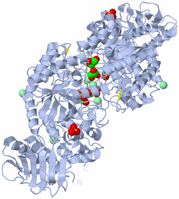 Image Biological Unit 2