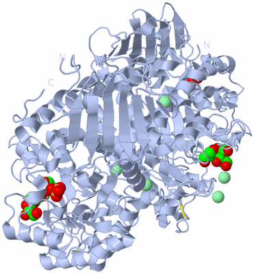 Image Biological Unit 3