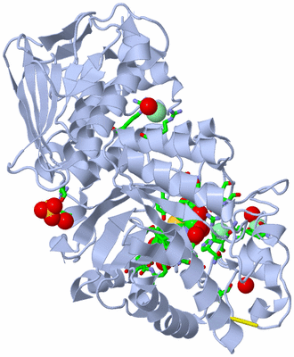 Image Biol. Unit 1 - sites