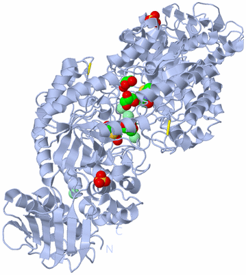 Image Biological Unit 2