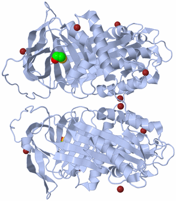 Image Biological Unit 2