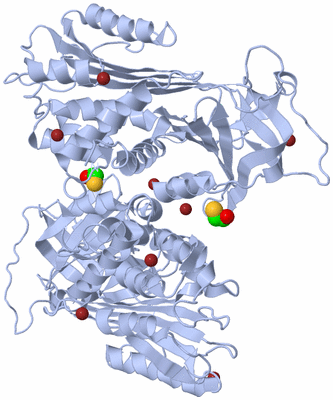 Image Biological Unit 3