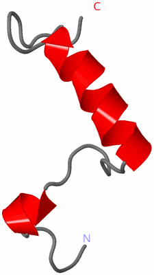 Image NMR Structure - model 1