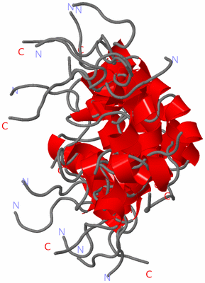 Image NMR Structure - all models