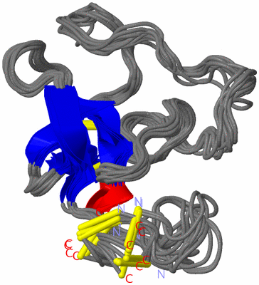 Image NMR Structure - all models