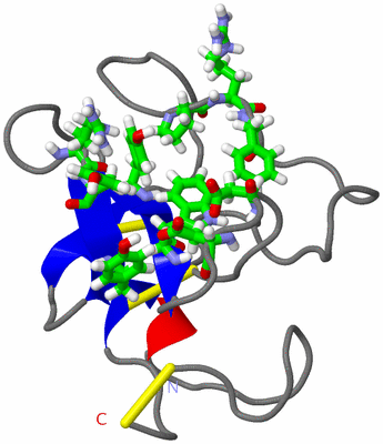 Image NMR Structure - model 1, sites