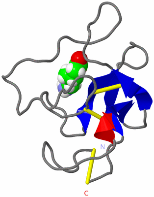 Image NMR Structure - model 1