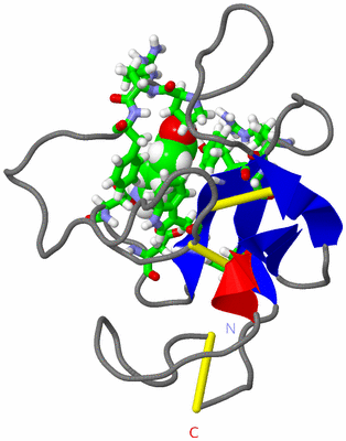 Image NMR Structure - model 1, sites