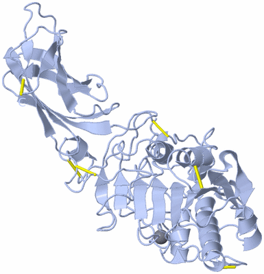 Image Biological Unit 1