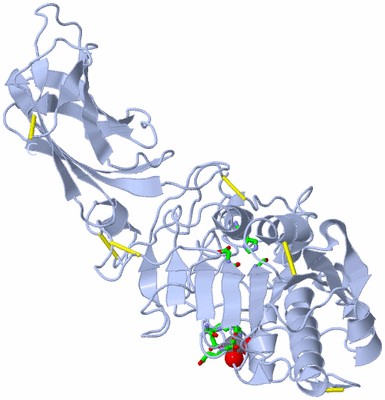 Image Biol. Unit 1 - sites