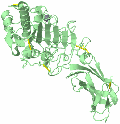 Image Biological Unit 2