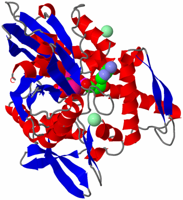 Image Asym./Biol. Unit