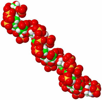 Image NMR Structure - all models