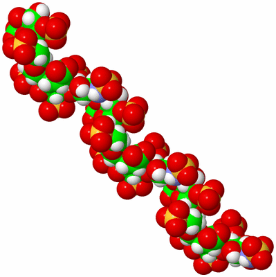 Image NMR Structure - model 1, sites