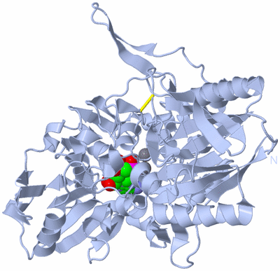 Image Biological Unit 1