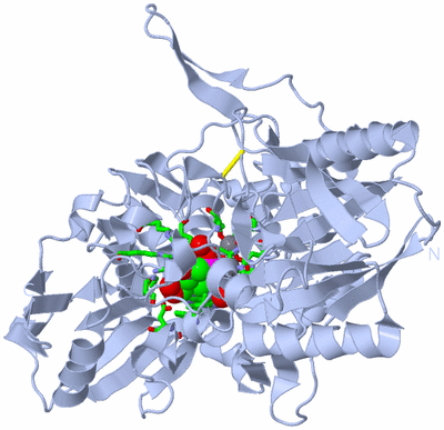 Image Biol. Unit 1 - sites