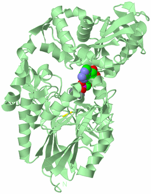 Image Biological Unit 2