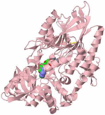 Image Biological Unit 3