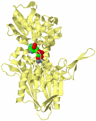 Image Biological Unit 4