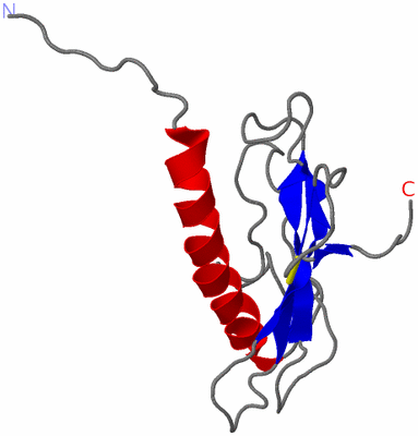 Image NMR Structure - model 1