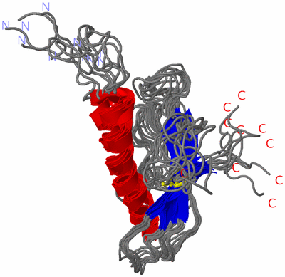 Image NMR Structure - all models