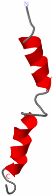 Image NMR Structure - model 1