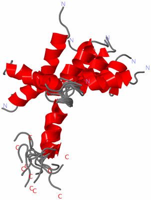 Image NMR Structure - all models