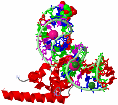 Image Asym./Biol. Unit