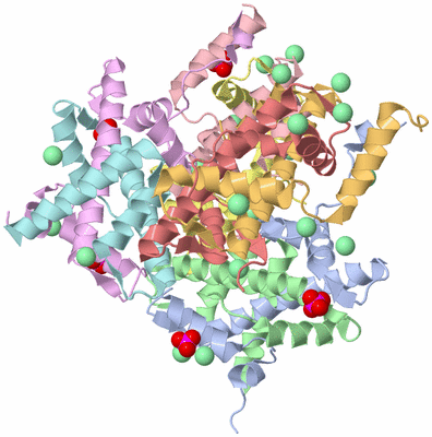 Image Asym./Biol. Unit