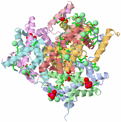 Image Asym./Biol. Unit - sites