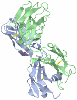 Image Biological Unit 1