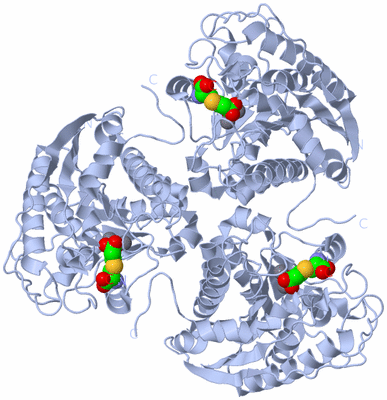 Image Biological Unit 1