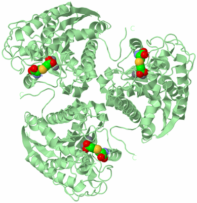 Image Biological Unit 2