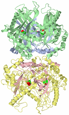 Image Biological Unit 1